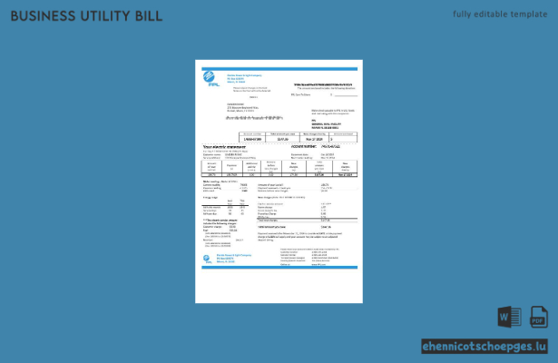 USA Florida Power and Light Company (FPL) – Beispielrechnung für Geschäftskunden
